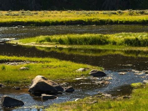 蒙大拿州立大学留学推荐 酒店管理专业