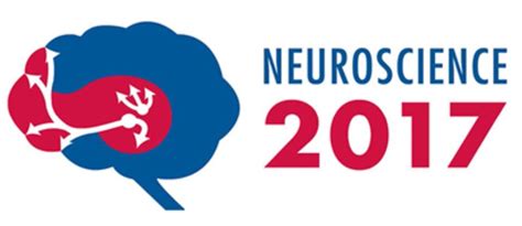 马凯特大学优质专业留学 神经科学