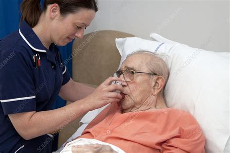 马凯特大学留学推荐 成人与老年护理专业