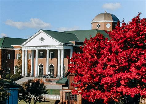 美国留学 长岛大学简介