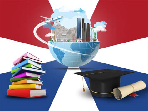 到荷兰去留学本科有什么方案