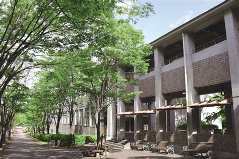 瑞典皇家理工学院有哪些英文授课硕士项目