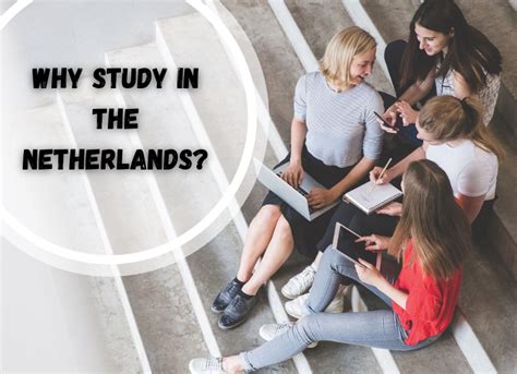荷兰优势盘点 为什么要选择荷兰留学