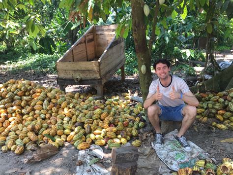 留学荷兰读硕士几年 有哪些好大学可以选择