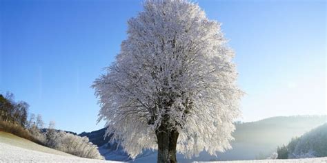 瑞士高中留学的优势及院校的推荐