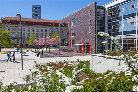 奥德河畔法兰克福欧洲大学专业介绍