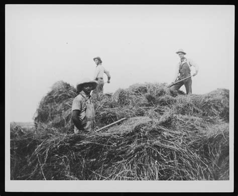 塞浦路斯成为入读欧美名校的跳板