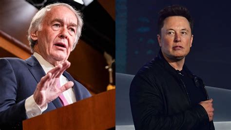 布朗马基学院专业设置介绍