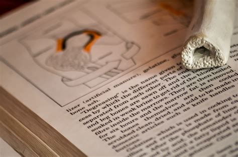 美国BS/MD Programs 是什么？有哪些优势？