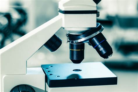 菲律宾留学有意义吗？