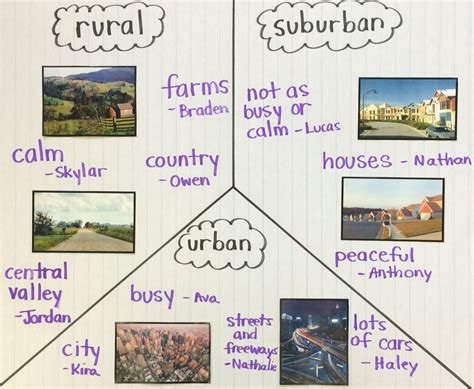 美国留学 如何在城市/郊区/乡村大学中进行选择？