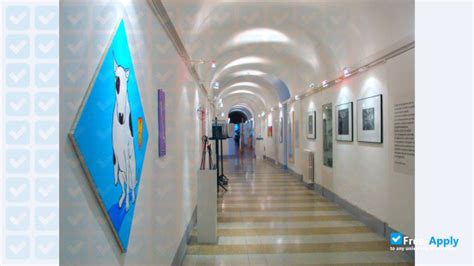 意大利乌尔比诺美术学院简介