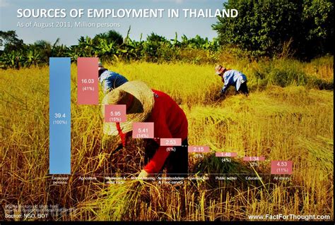 泰国留学回国后有什么就业优势