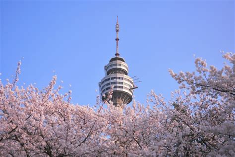 韩国大邱保健大学留学优势介绍