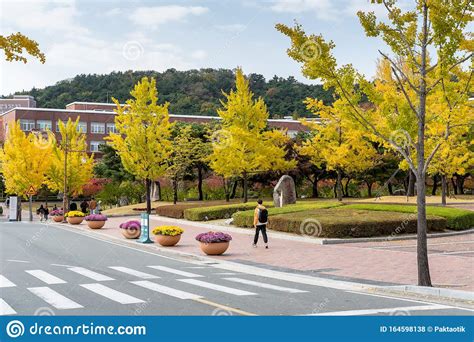 韩国大邱加图立大学的特色优势及交通概况