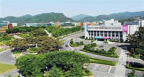韩国大邱加图立大学的院系及招生专业