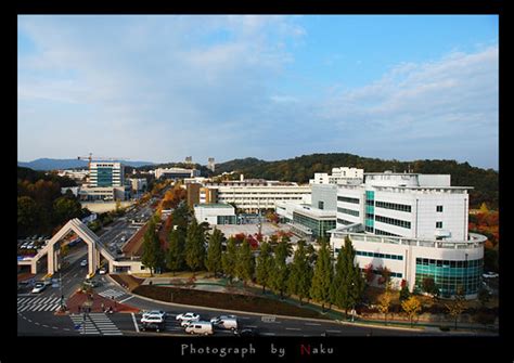 韩国忠南大学的发展现状