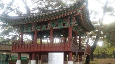 韩国世明大学专业设置
