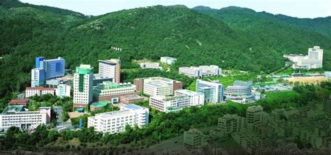 韩国仁济大学的基本介绍