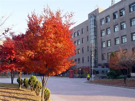 韩国水原大学学校专业介绍