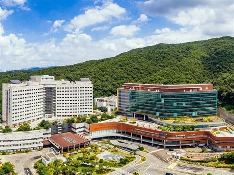 韩国的首尔大学有哪些申请的要求