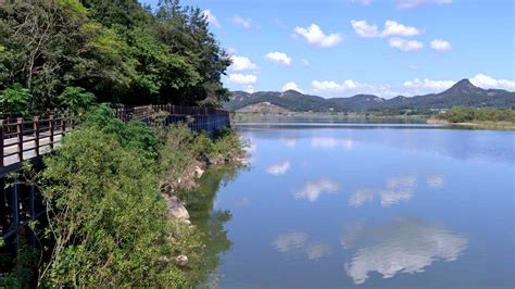 韩国灵山大学留学专业设置解析