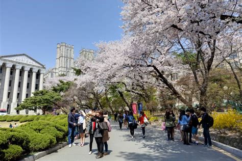 韩国留学：庆北道立大学专业设置