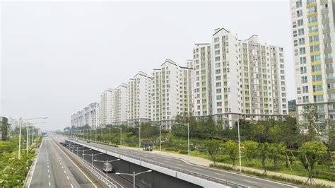 韩国留学 金浦大学专业设置