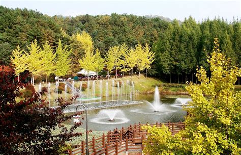 韩国留学 清州大学专业设置