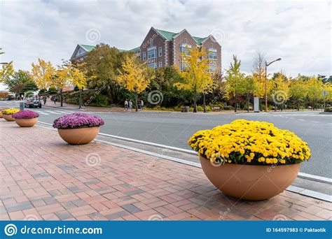韩国留学 启明大学优势