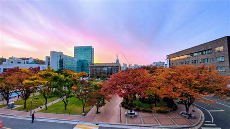 韩国崇实大学专业设置介绍