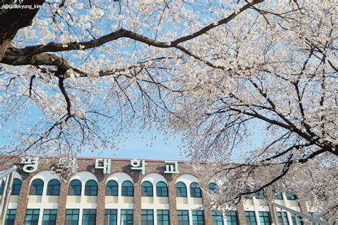 韩国平泽大学专业设置详解
