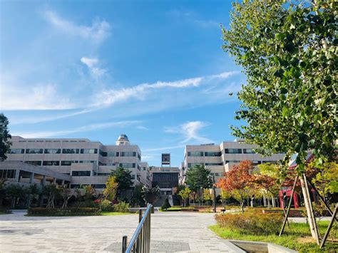 韩国浦项大学学校专业设置
