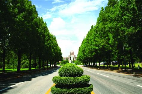 韩国留学院校推荐 韩国全南大学