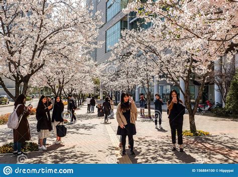 韩国建国大学国贸专业解析