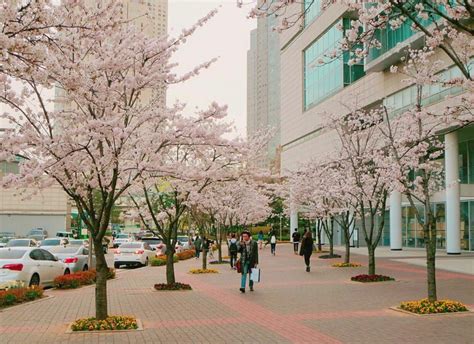 韩国建国大学的本科专业设置