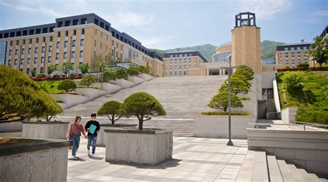 介绍印度中央外国语大学的教学优势