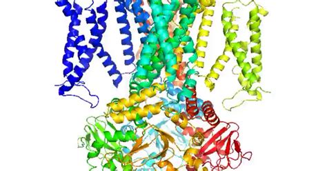 美国印第安纳大学生物化学与分子生物学专业解析