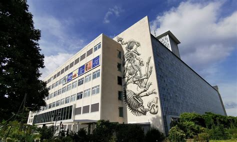 比利时根特大学课程目录(本科+研究生)