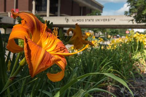 美国伊利诺伊州立大学专业设置详解