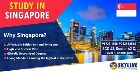 艺术生能否在新加坡去留学