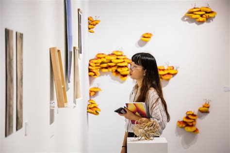 学艺术就到新加坡拉萨尔艺术学院