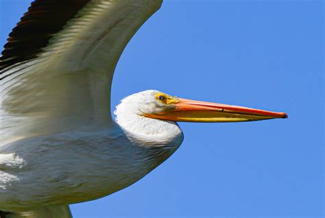 新加坡TMC学院会计学和金融学专业的基本介绍
