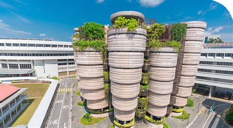 新加坡南洋理工大学本科有什么申请条件?
