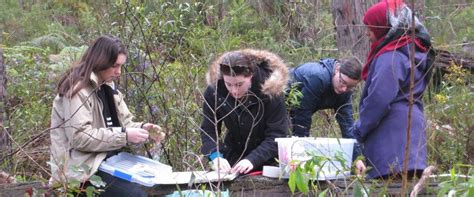 西澳大学环境科学专业详解