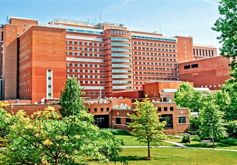 新西兰留学 维特利亚国立理工学院是新西兰24所国立理工学院之一