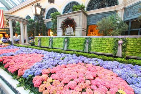 意大利特拉莫音乐学院的最新介绍