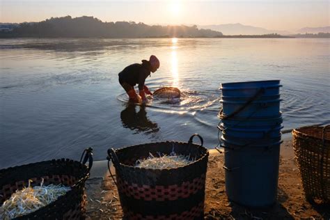 泰国农业大学怎么样