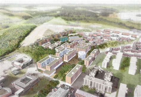 英国苏塞克斯大学的预科课程详细介绍
