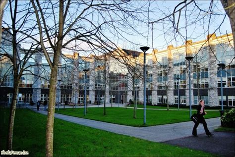 爱尔兰科克大学有什么专业可以选择